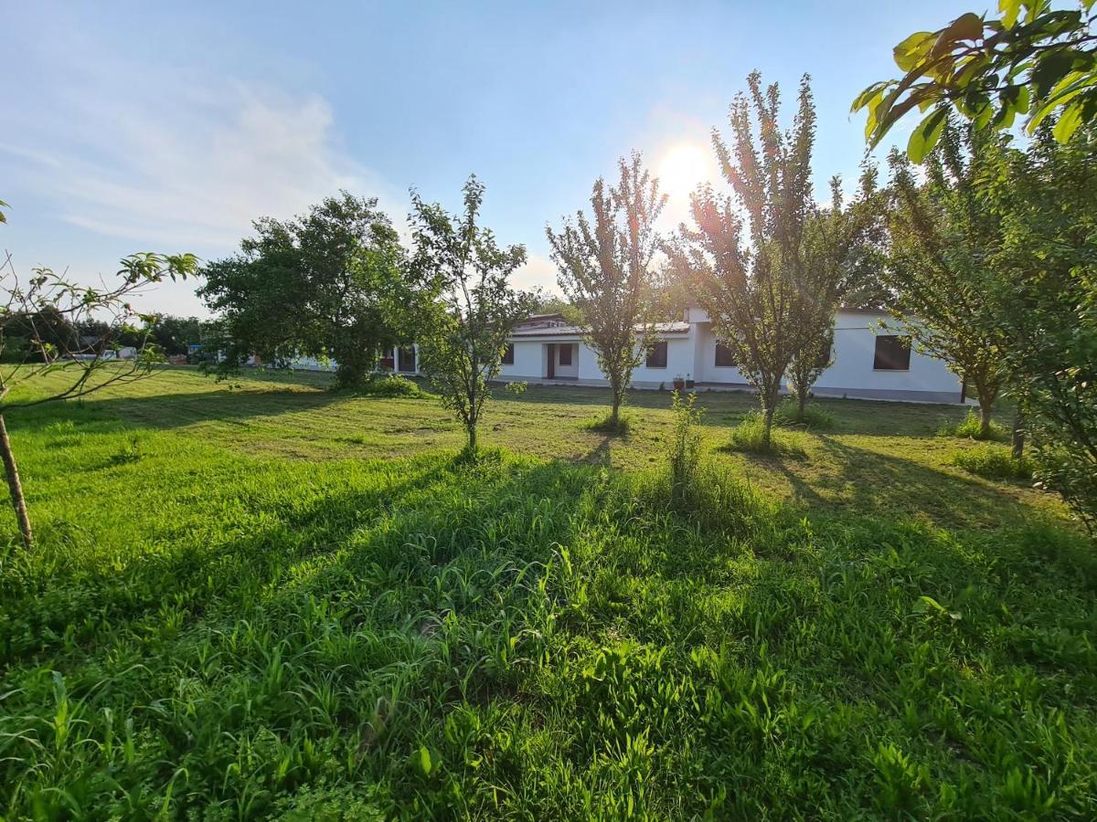 スピネーア Agriturismo Ca Novak Veneziaヴィラ エクステリア 写真